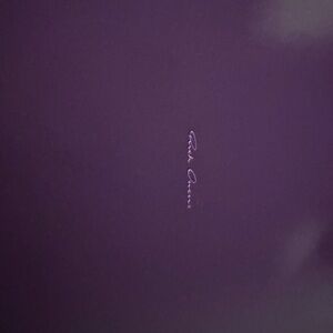 Rick Owens Black and Purple Sneakers